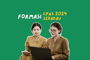 Formasi CPNS Sekadau 2024