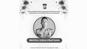 Bripda DP
