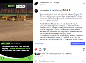 Anjing Jalan 17 KM