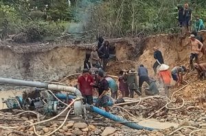 Tujuh pekerja tambang emas tanpa izin atau PETI di Desa Bugang, Kecamatan Hulu Gurung, Kabupaten Kapuas Hulu, dilaporkan tewas tertimbun longsor. Polisi kini melakukan penyelidikan di lokasi kejadian.