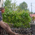 Sejumlah bibit pohon Yayasan Alam Sehat Lestari (ASRI) untuk Kontribusi Pemulihan Ekosistem di Hari Bumi Sedunia.