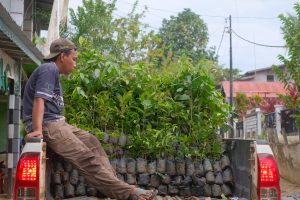 Sejumlah bibit pohon Yayasan Alam Sehat Lestari (ASRI) untuk Kontribusi Pemulihan Ekosistem di Hari Bumi Sedunia.