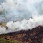 Sebaran titik api di wilayah konsesi perusahaan menjadi sorotan WALHI dalam rilis terbaru terkait peningkatan kebakaran hutan dan lahan di Indonesia tahun 2026.