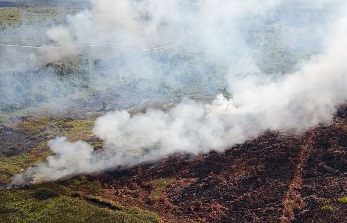 Sebaran titik api di wilayah konsesi perusahaan menjadi sorotan WALHI dalam rilis terbaru terkait peningkatan kebakaran hutan dan lahan di Indonesia tahun 2026.