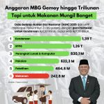 Infografis MBG